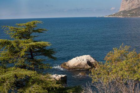 "ДЖУНИОР СЮИТ" 1-комнатный 3 этаж, Юг (Спальный корпус №3)