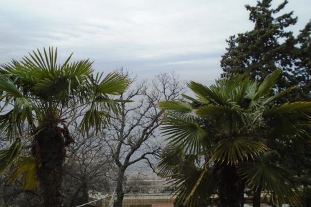 "ДЖУНИОР СЮИТ" 1-комнатный 2 этаж, Юг / Север (Спальный корпус №3)