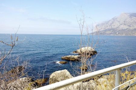 "ДЖУНИОР СЮИТ" 1-комнатный 2 этаж, Юг / Север (Спальный корпус №3)